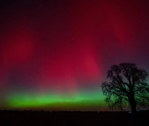 February stargazing: A planet parade comes to town