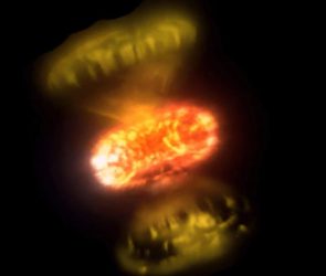 Capturing the Moment a White Dwarf Exploded