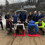 Abandoned pigs rescued on Tennessee’s Looney Islands