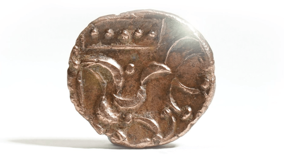 Rare Celtic coin found by metal detectorist