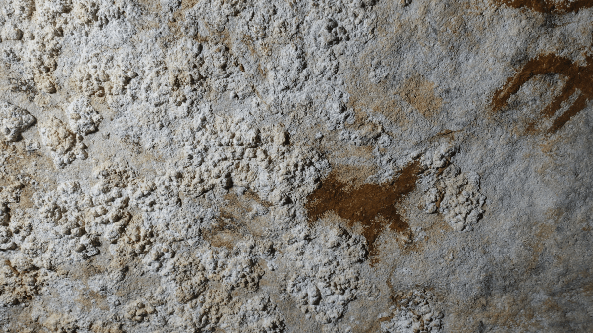 World's oldest-known rock art found in Indonesian cave