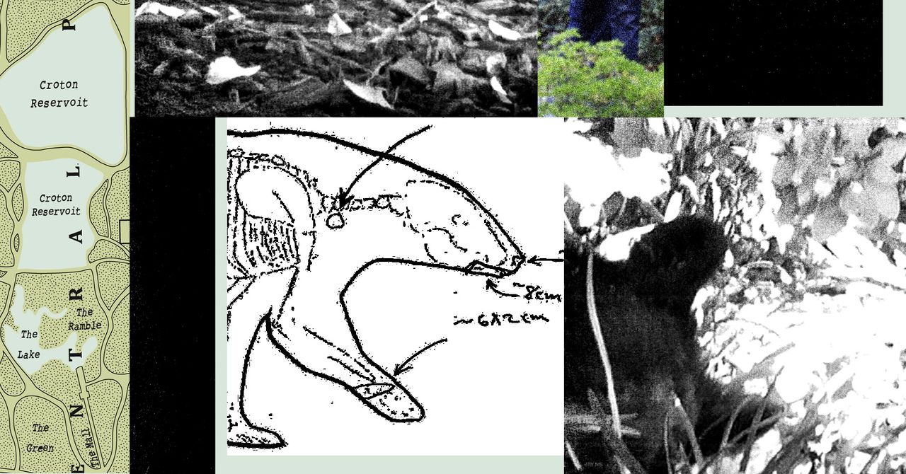 New Records Reveal the Mess RFK Jr. Left When He Dumped a Dead Bear in Central Park