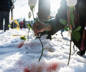 Why ICE Can Kill With Impunity