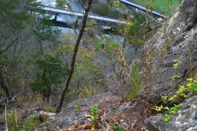 50,000 Copilot licences for Indian service companies