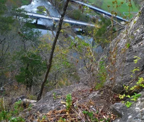 50,000 Copilot licences for Indian service companies