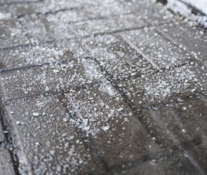 Stop using so much sidewalk salt