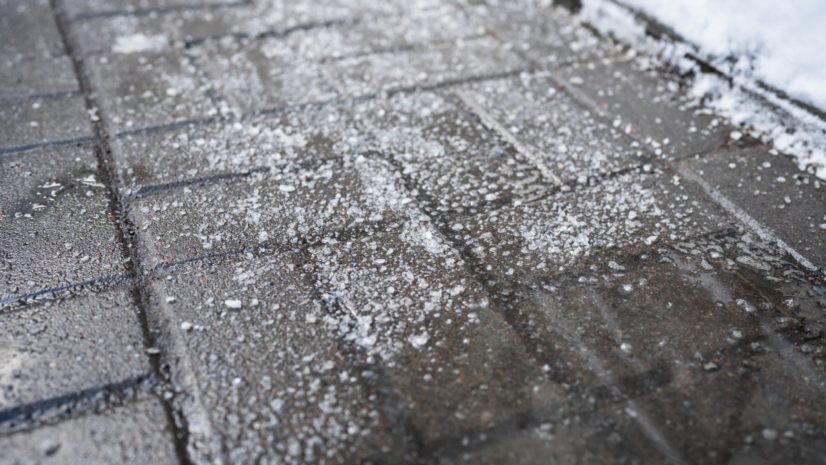 Stop using so much sidewalk salt