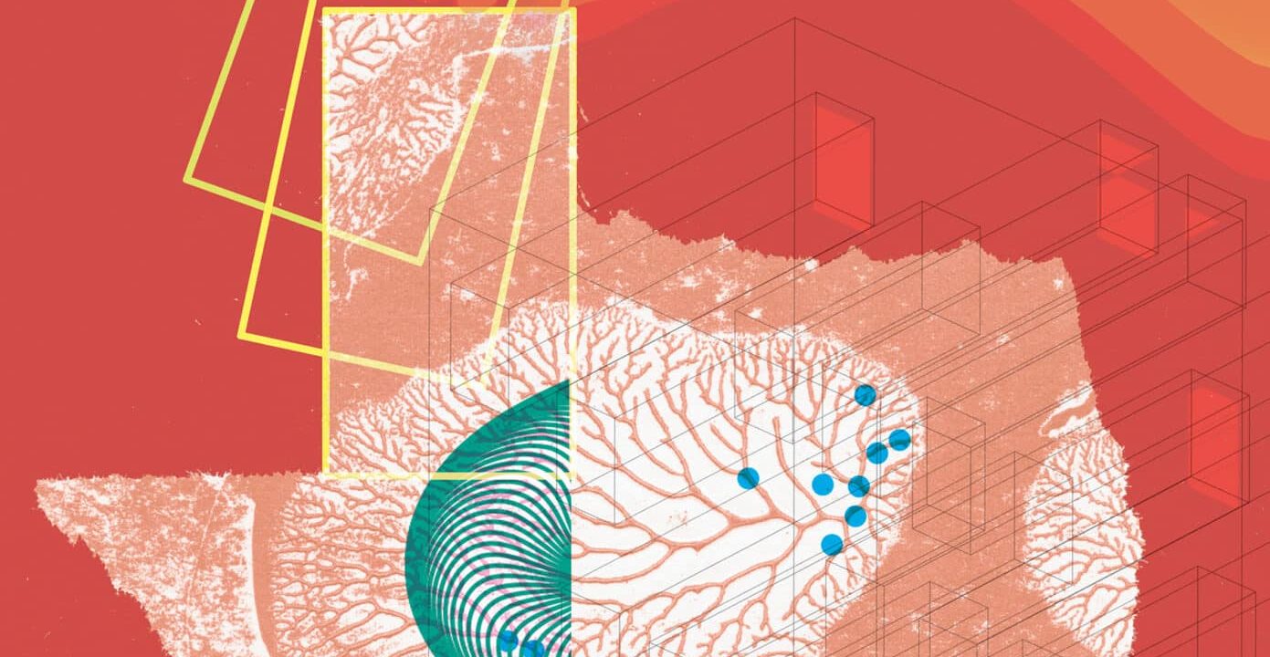 A Texas-Sized, Texas-Shaped Approach to Biomedical Research