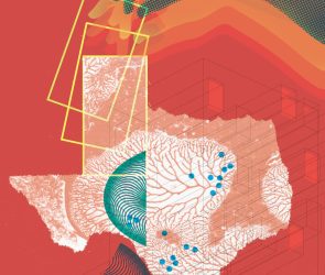 A Texas-Sized, Texas-Shaped Approach to Biomedical Research