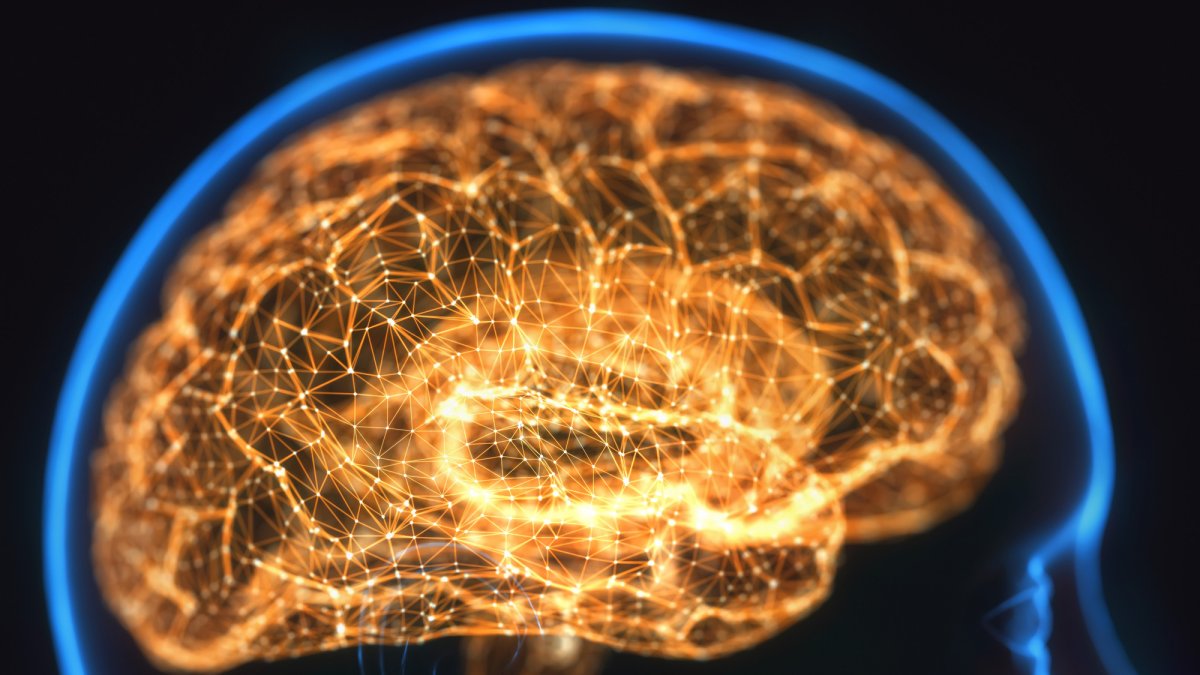 What’s a false memory? Psychologists explain how your brain can lie.