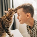 Why do cats lick you? An expert explains.