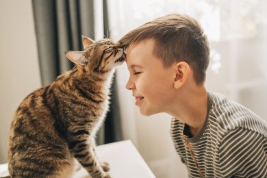 Why do cats lick you? An expert explains.