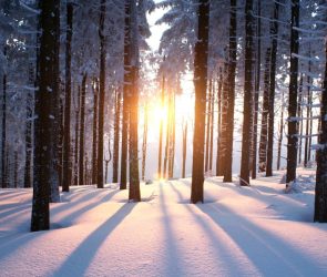 Snow isn't actually white | Popular Science