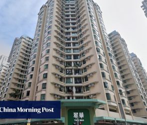 Hongkonger, 63, falls to his death from high-rise while trying to save cat
