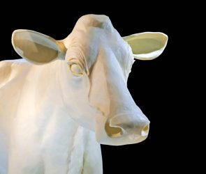 Butter Cows and Seed Art and Participatory Spectacles 