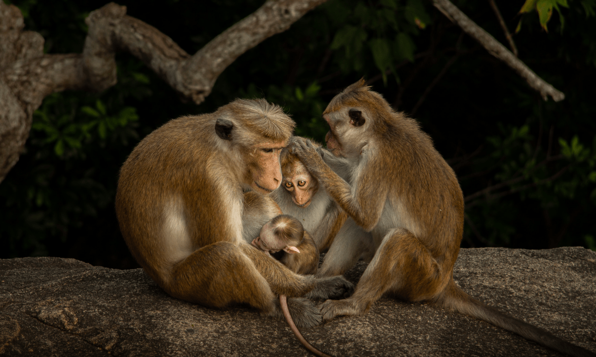 11 stunning finalists for the Youth Photographer of the Year prize