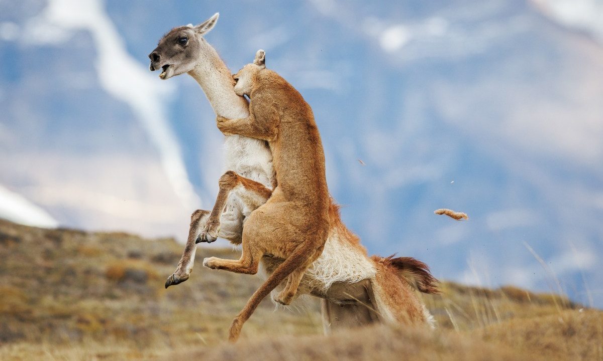 20 riveting images from the Sony World Photography Awards 2026