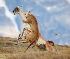 20 riveting images from the Sony World Photography Awards 2026