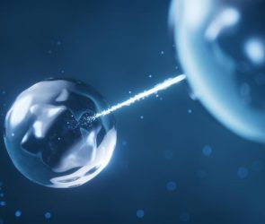 3D Rendering Physics Quantum Entanglement