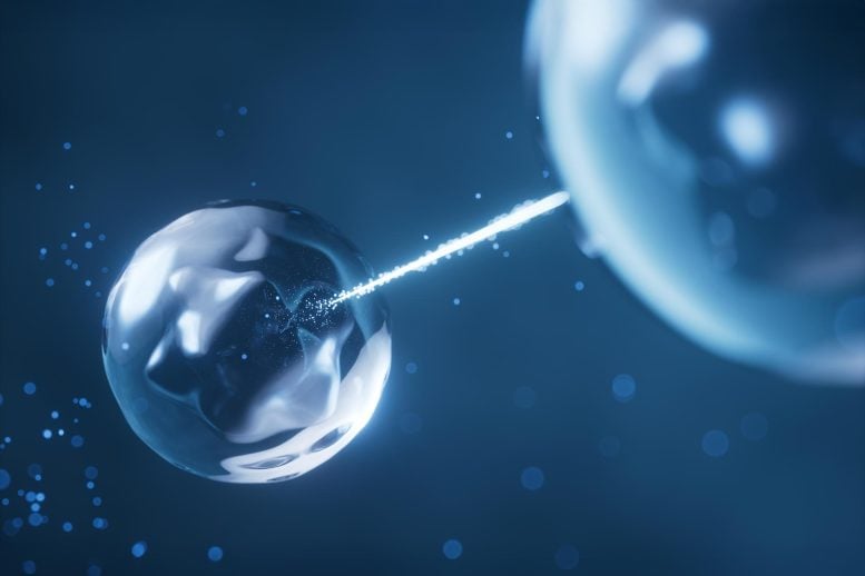 3D Rendering Physics Quantum Entanglement