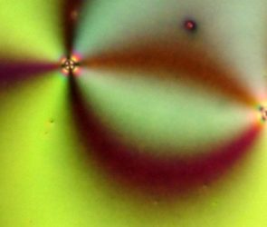 3D U-Net Neural Network for Defect Prediction in Nematic Liquid Crystals