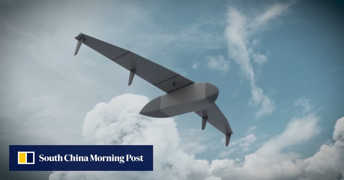 Can German stealth cargo gliders boost Japan’s remote island defence and logistics?