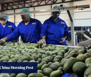 China says it won’t seek reciprocity with South Africa on zero-tariff policy