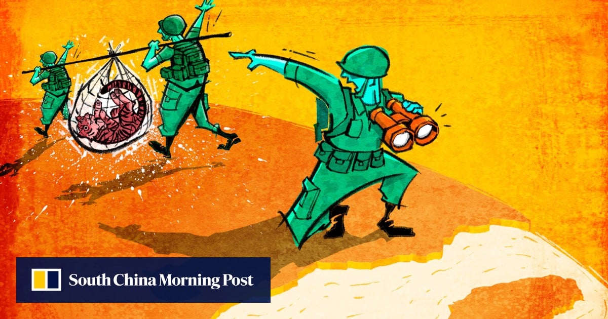 What does the fall of PLA top brass Zhang Youxia say about Beijing’s Taiwan plans?