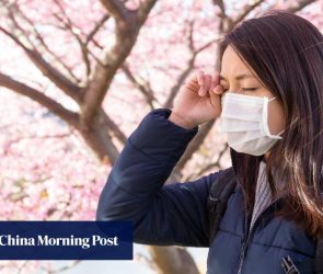 As Japan enters hay fever season, pollen levels may surge due to ‘horribly high’ summer