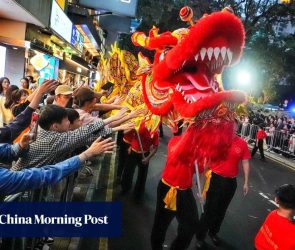 Excited spectators pack streets for Hong Kong Lunar New Year night parade