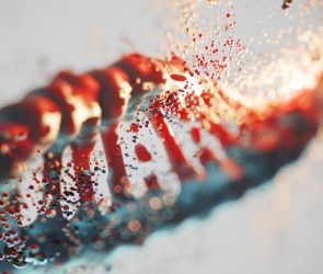 Ancient DNA Genetic Code