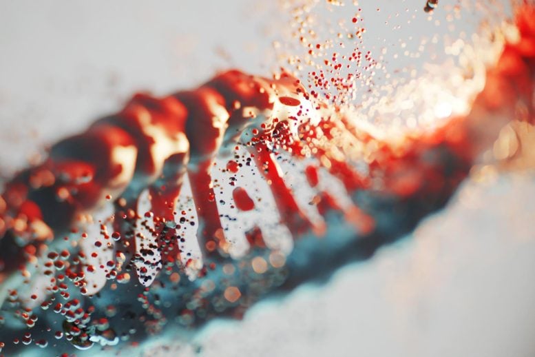 Ancient DNA Genetic Code