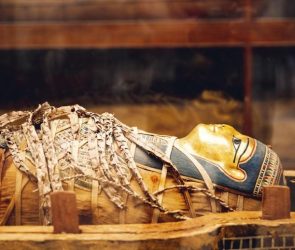 Ancient Egyptian Mummy