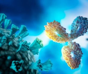 Antibody Virus Molecular Model