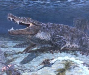 Artistic Rendering of Deinosuchus Schwimmeri Swimming Underwater