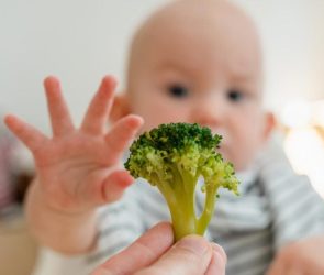 Baby Eating Vegetables Broccoli Crop