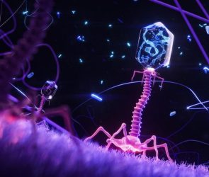 Bacteriophage Virus Infects Bacterium