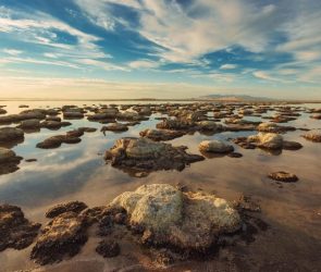 Bioherms Great Salt Lake Bridger Bay