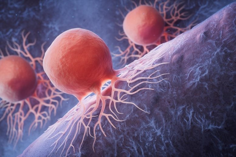 Biological Cancer Cells Rendering