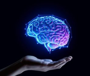 Brain Support Hand Holding Neuroscience Treatment