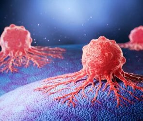 Cancer Cells Hiding on Human Tissue