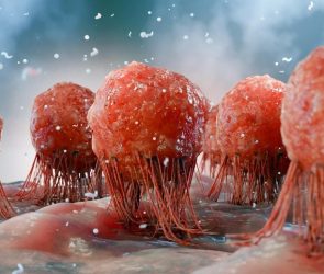Cancer Tumor Cells Immune Response