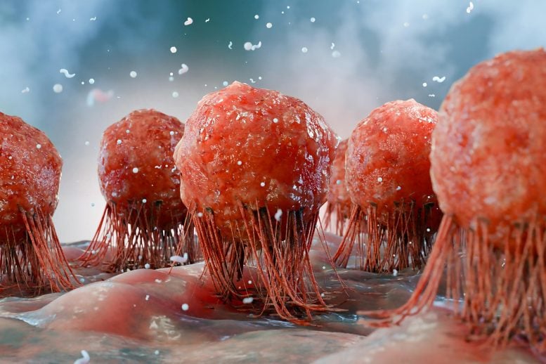 Cancer Tumor Cells Immune Response