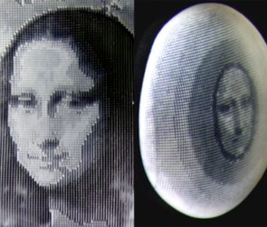 Cephalopod Inspired Smart Skin Material