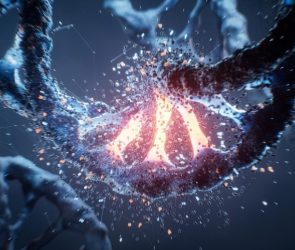 DNA Mutation Cancer Genetics Disease Bioengineering