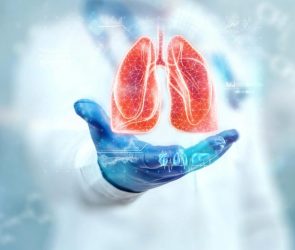 Doctor Hand Holding Lungs Health Disease Treatment