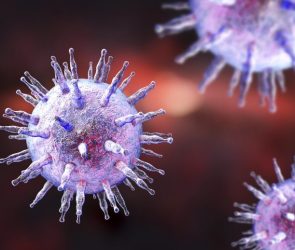 Epstein Barr Virus EBV