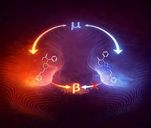 Fentanyl’s Traditional Molecular Structure