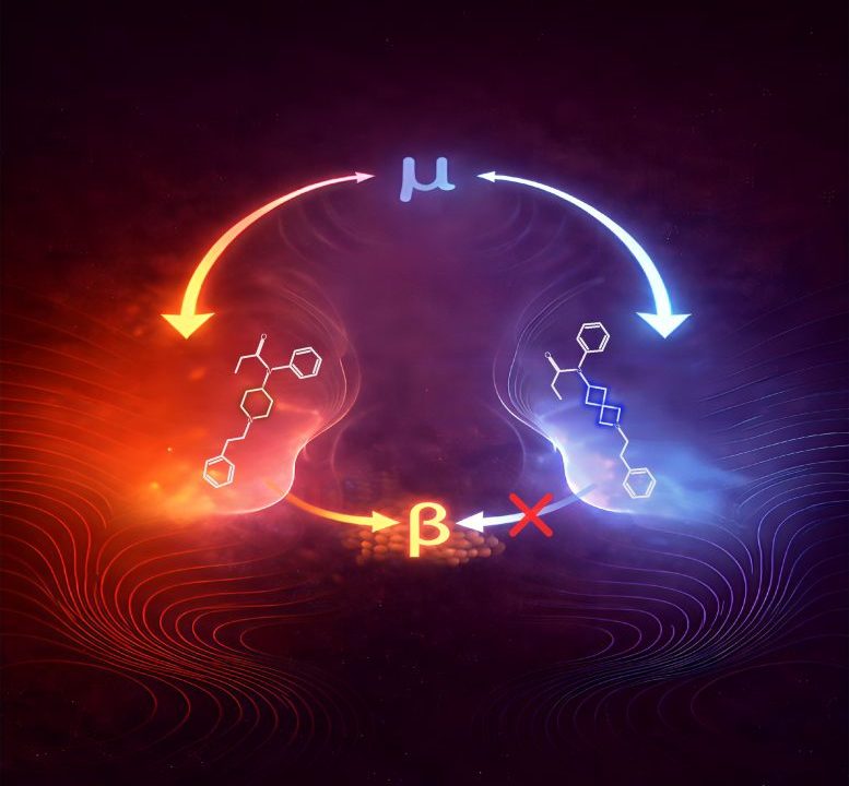 Fentanyl’s Traditional Molecular Structure