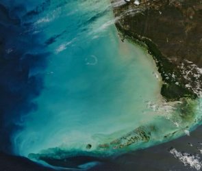 NASA spots Florida's ocean waters changing color